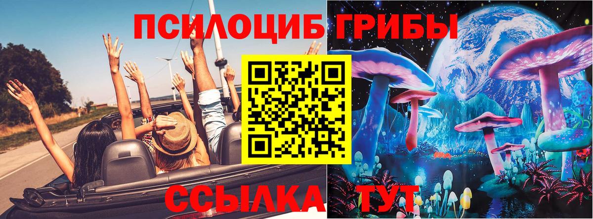Галлюциногенные грибы Cubensis Троицк