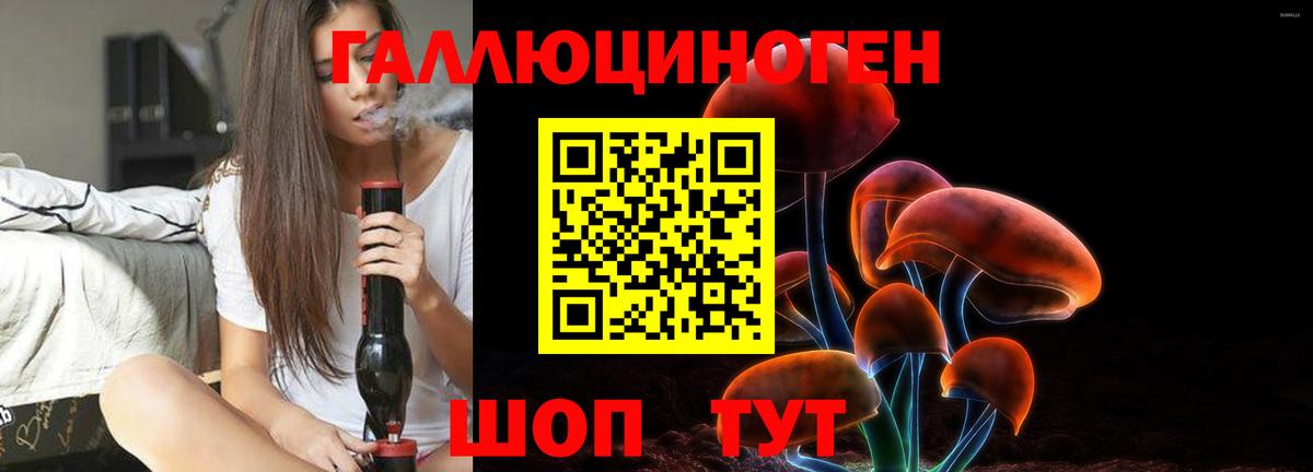 Галлюциногенные грибы MAGIC MUSHROOMS  Вход с VPN  Троицк 